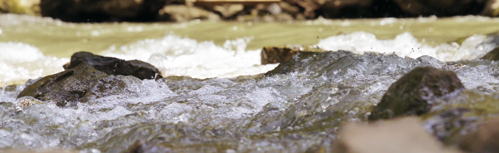 AI4WATER Documents river