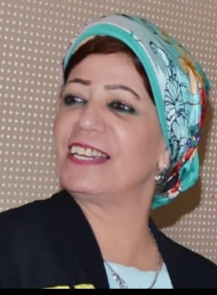 USC aida mohamed allam